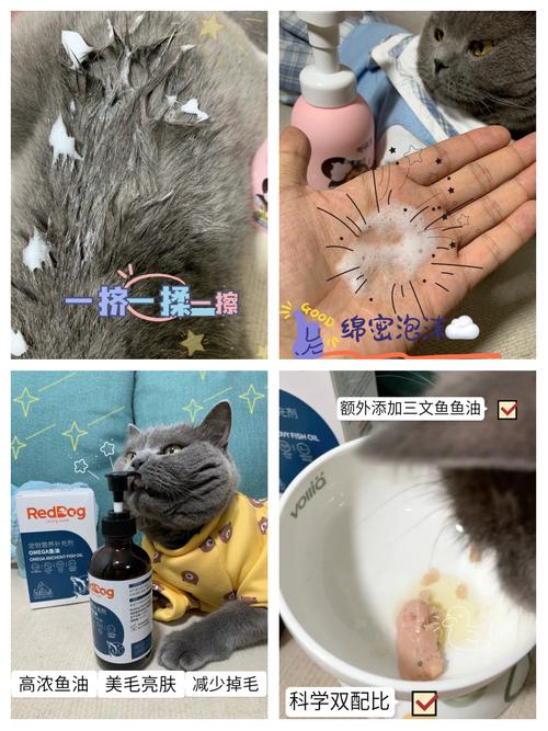 猫咪毛发护理秘籍，如何正确给猫咪剪毛