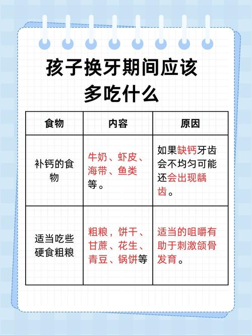 猫咪换牙期的饮食指南，为毛孩子提供更健康的牙齿护理