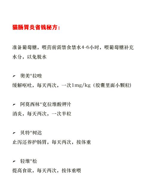 猫咪肠胃炎饮食，恢复健康的食谱指南