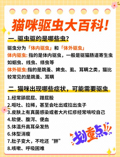 猫咪体内体外全面驱虫，让你的毛孩子更健康