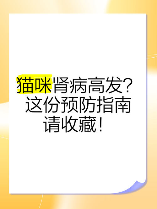 猫咪肾病，全面治疗指南