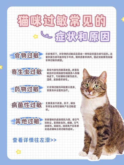 猫咪药物过敏的那些症状及应对策略