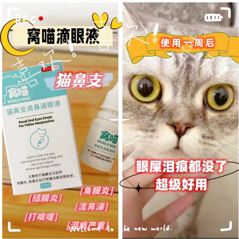 猫咪专用眼药水，为您的毛孩子的眼睛带来光明与健康