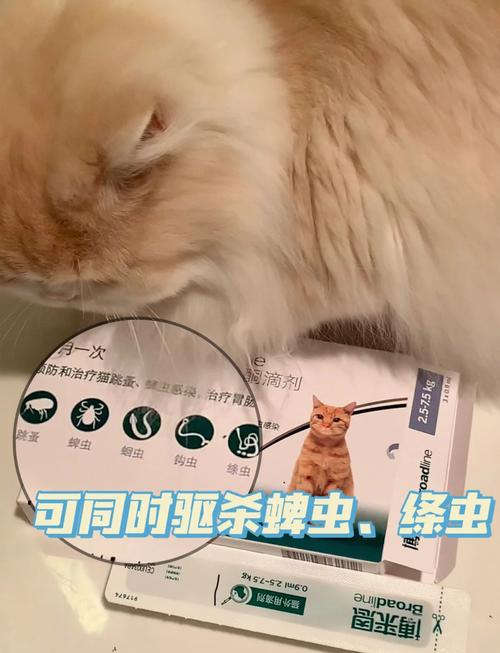 猫咪为何需定期驱虫，养护健康不可忽视