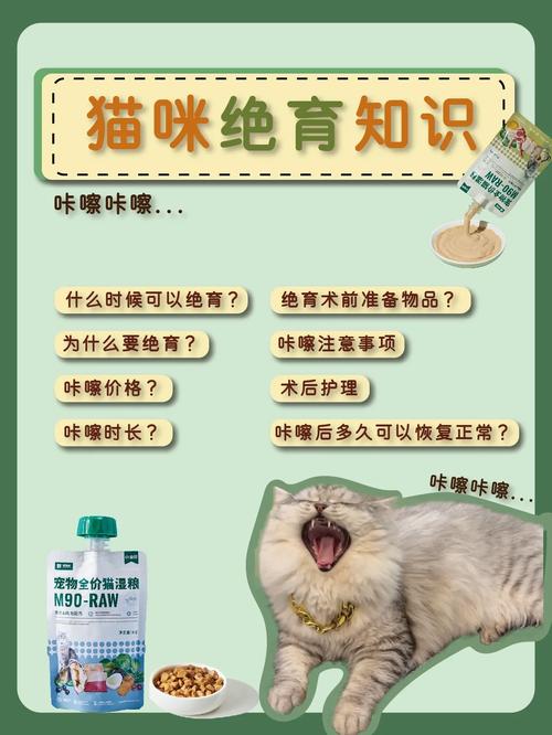 揭秘猫咪绝育手术，轻松掌握猫咪绝育的科学知识