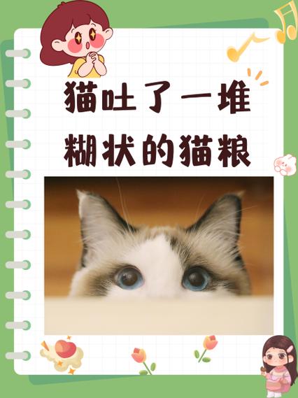 猫咪天天吐猫粮？你可能忽略了这些关键因素