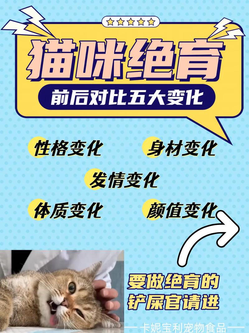 猫咪多重绝育，科学养宠新观念