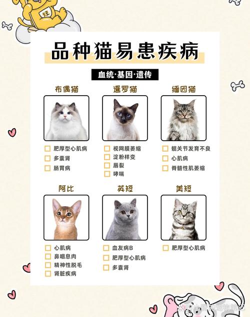 探索小型猫的世界，从品种到饲养技巧