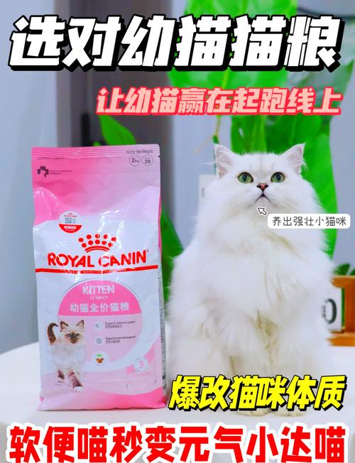 揭秘猫咪不爱吃皇家猫粮的真相