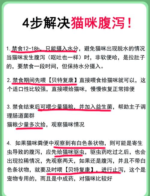 猫咪拉肚子，到底多久会致命？