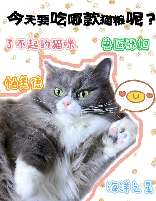 揭秘为何我的猫咪不爱吃伟嘉猫粮