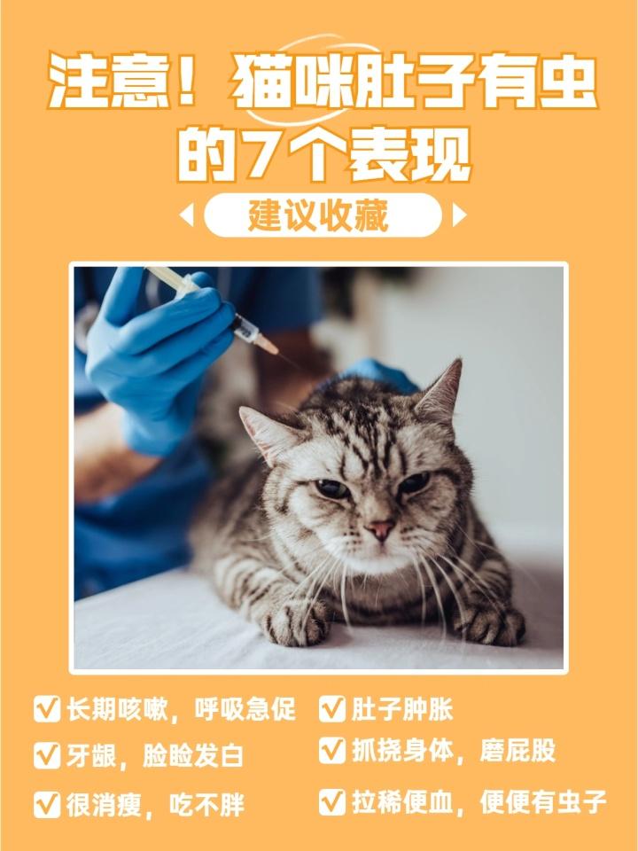 猫咪健康警报，警惕呼吸急促与肚子抽搐