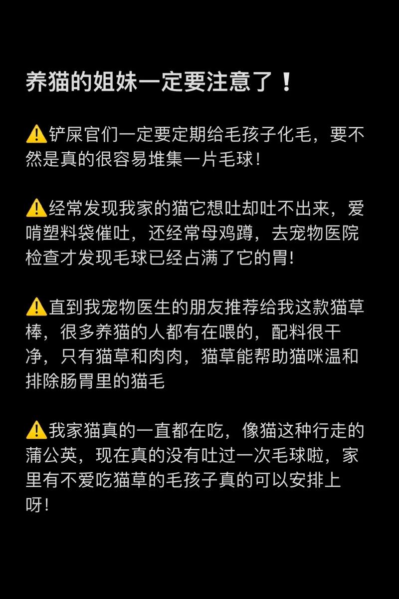 猫咪频繁舔毛的秘密，潜在健康问题的警示信号