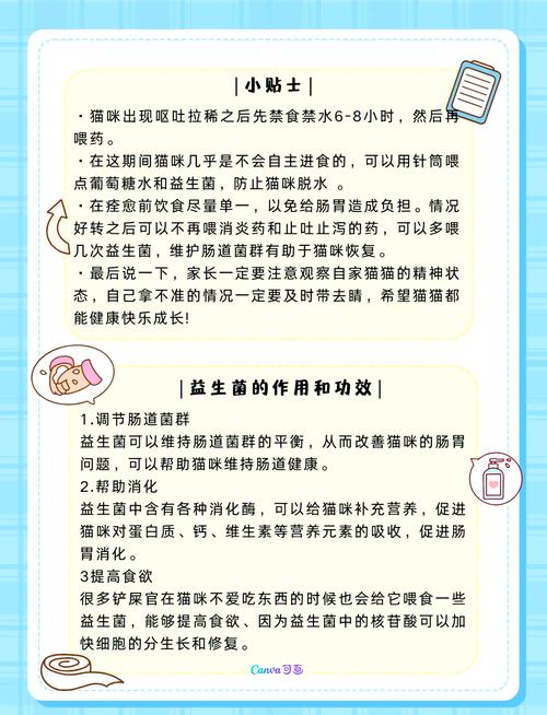 揭秘猫咪的肠道健康——认识并应对猫咪过敏性肠炎