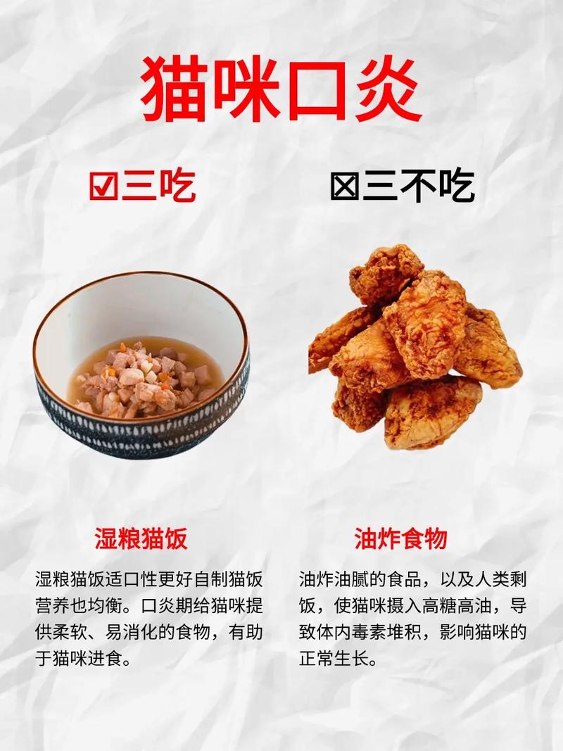 猫咪口炎饮食指南