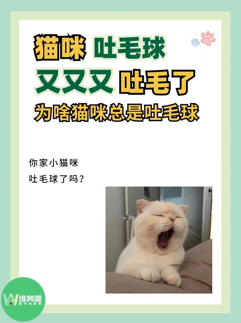 揭秘猫咪吐出毛球的秘密