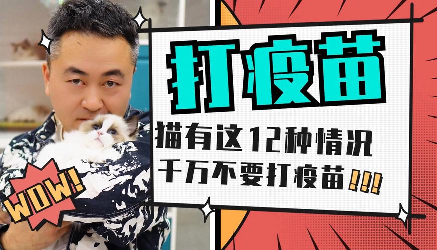 猫咪突然无法站立，一次紧急的健康警报