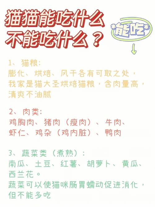 怀孕猫咪能吃鸡肉吗？专家建议与营养解析