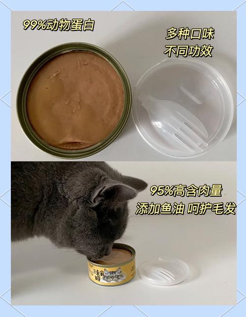 猫咪能否享用冰罐头？专家解析