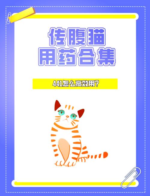 科学治疗，猫咪肾病用药指南