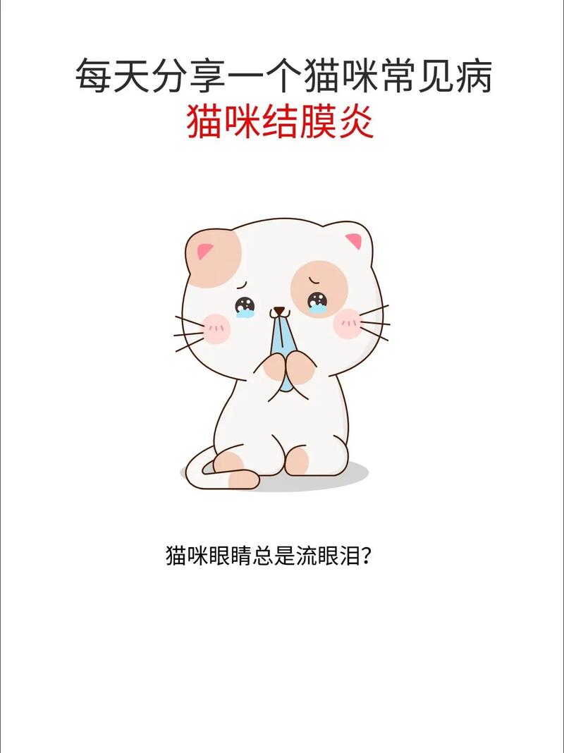 揭秘猫咪结膜炎的神秘面纱