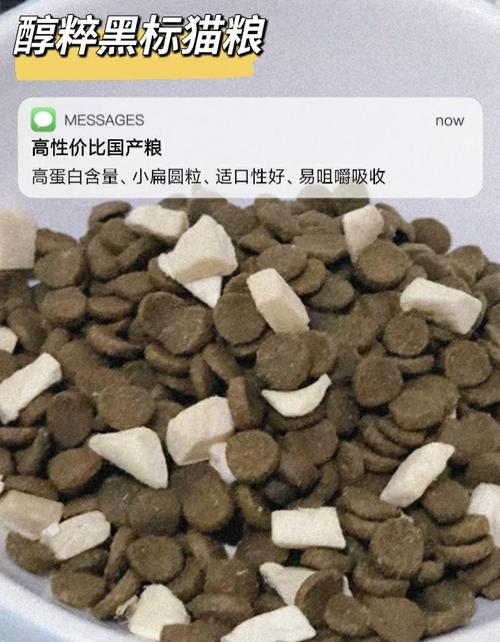 揭秘猫咪为何能将整包猫粮一次性排出体外