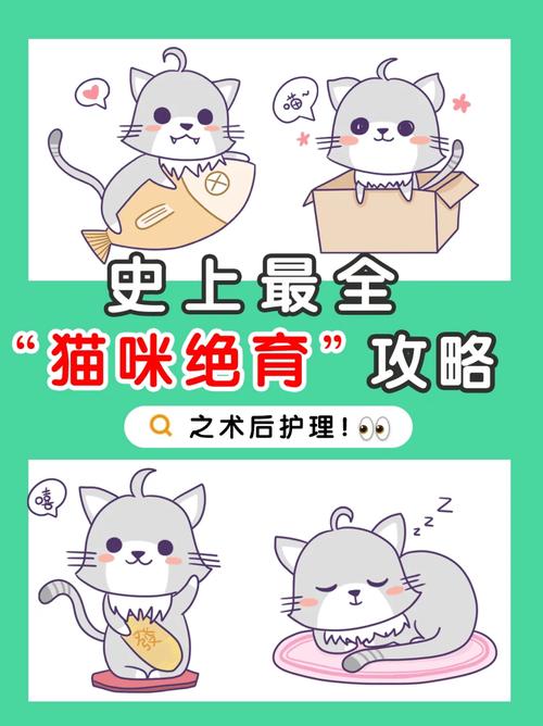 揭秘猫咪绝育后的身体变化，了解凸肚真相