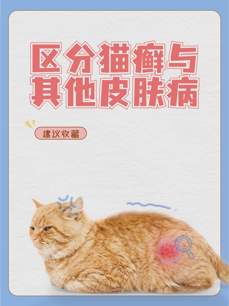 猫咪真菌感染不会直接传染给人类