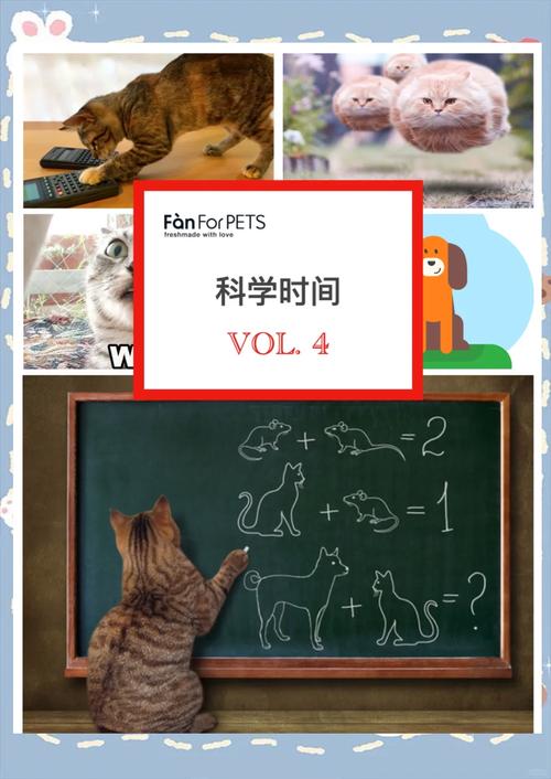 妙招教你轻松让爱宠猫咪增肥，科学喂养让毛孩子更健康