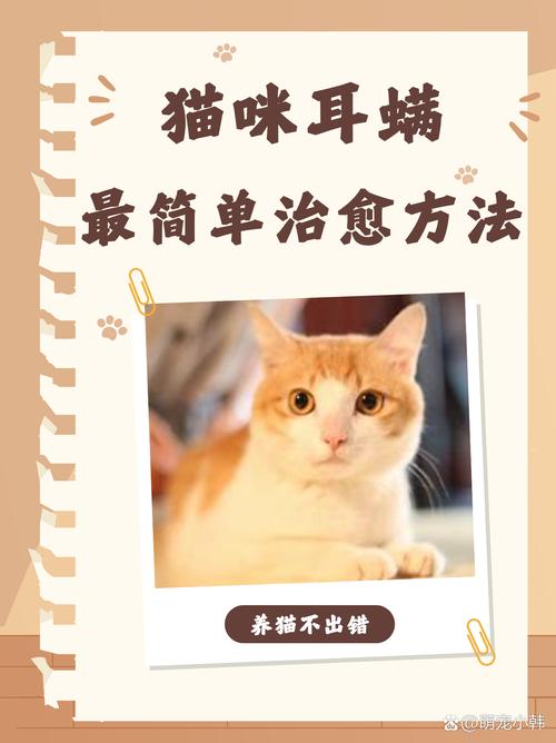 彻底解决猫咪耳螨问题的全面指南