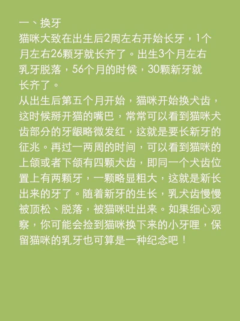 猫咪何时开始长牙？探索幼猫成长的秘密