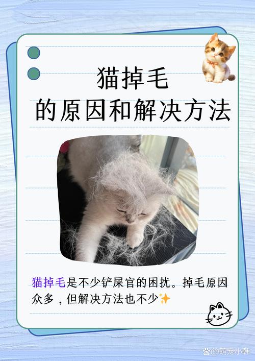 轻松掌握猫咪剃毛技巧，为爱宠减负