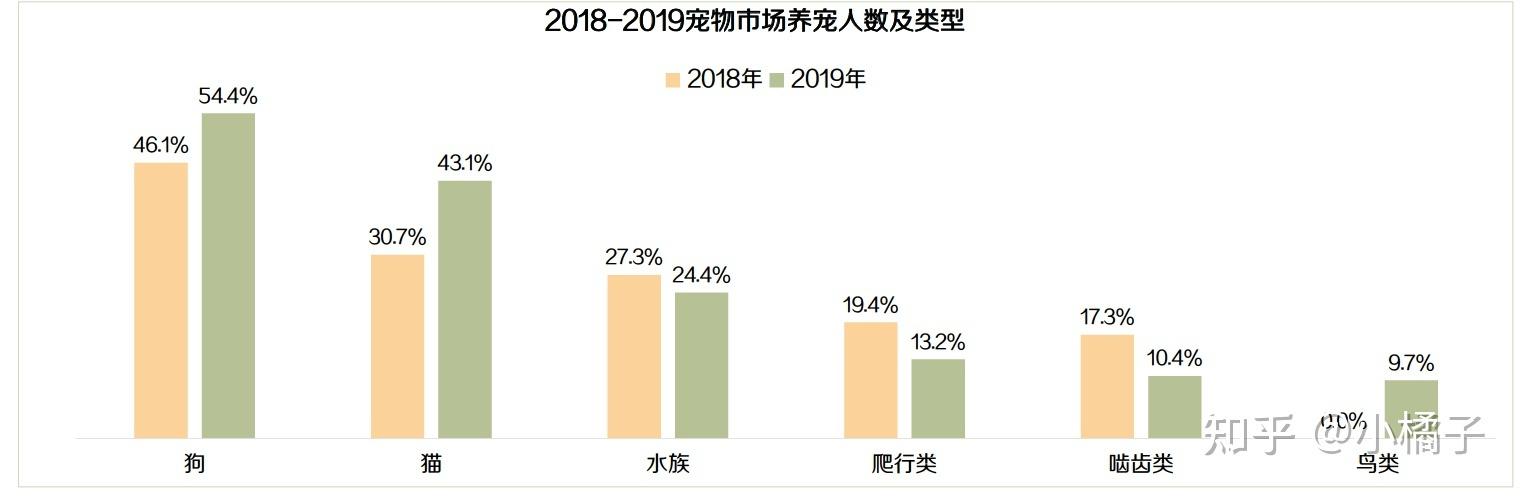 揭秘猫咪拍片价格全解析，一次拍摄之旅的成本概览