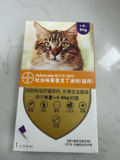 揭秘猫咪内驱药正确服用方法，为您的毛孩子保驾护航