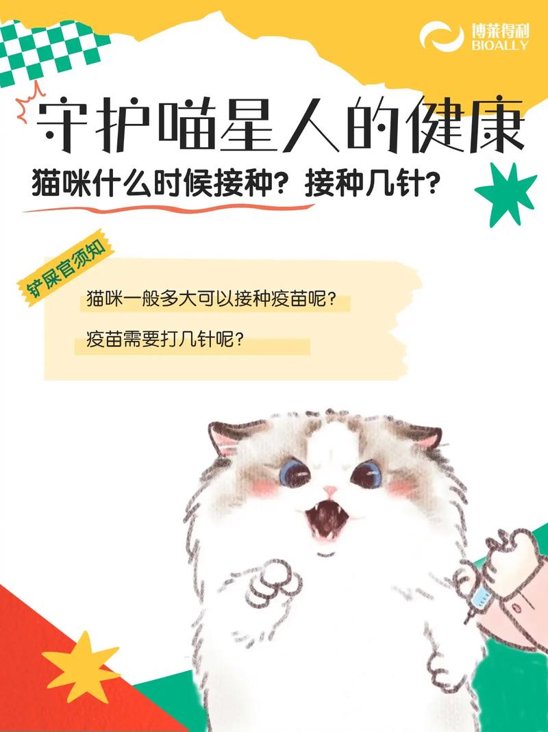 守护毛孩子健康，猫咪打疫苗的重要性