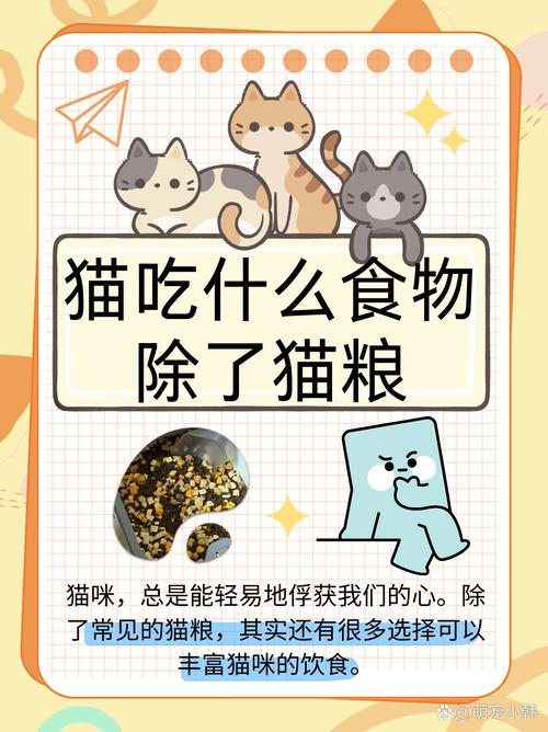 猫咪绝育后吃些什么