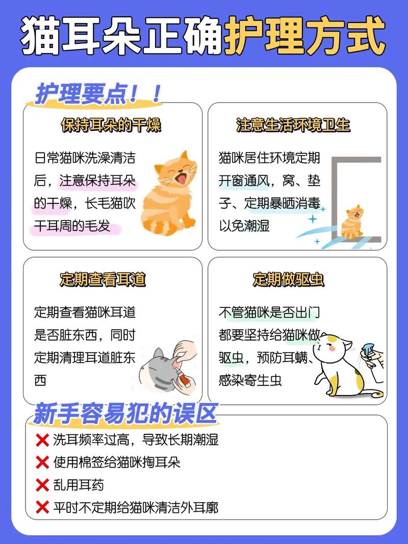 猫咪洗耳液的优选品牌大盘点