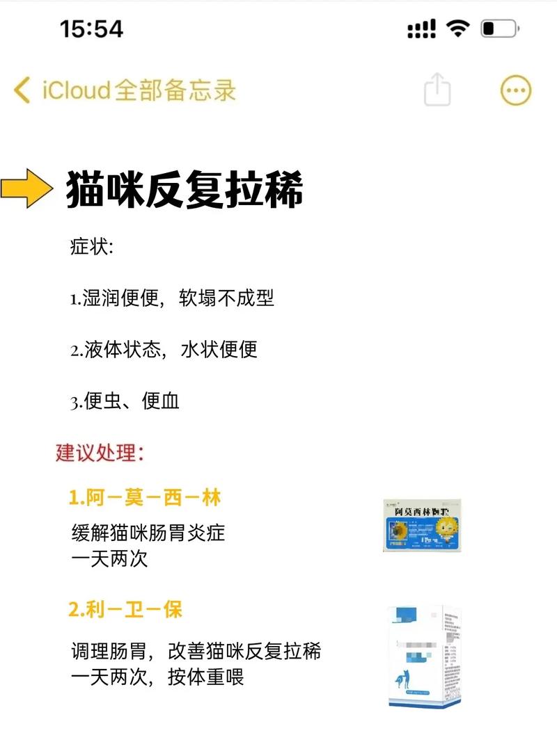 新生猫咪拉稀？这7个处理方法你必须知道