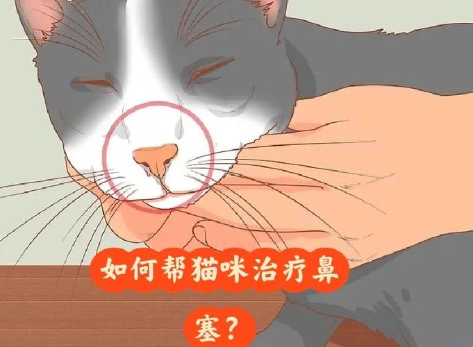 猫咪鼻炎，识别症状与应对措施