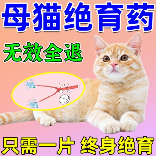 猫咪吃什么避孕药？