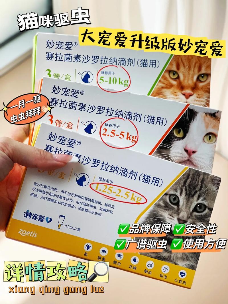 猫咪外驱药的选择与应用，科学驱虫护毛