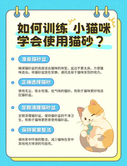 猫咪使用猫砂的五大好处