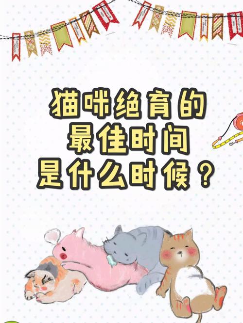 猫咪何时是绝育的最佳时机？关键因素全解析