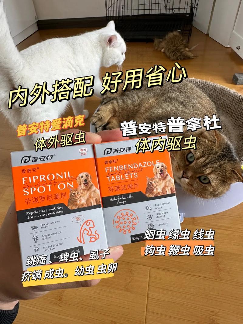 揭秘猫咪内驱症状的解决之道——了解猫咪需要吃什么药