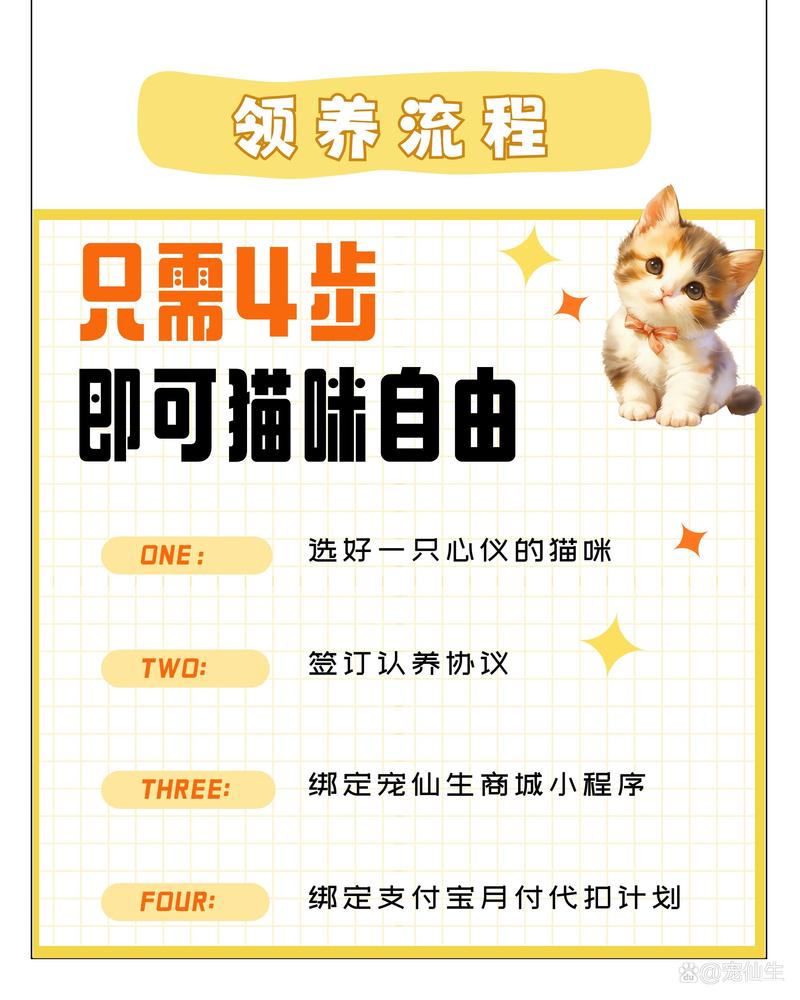 温馨之选，从领养猫咪开始，传递爱与责任