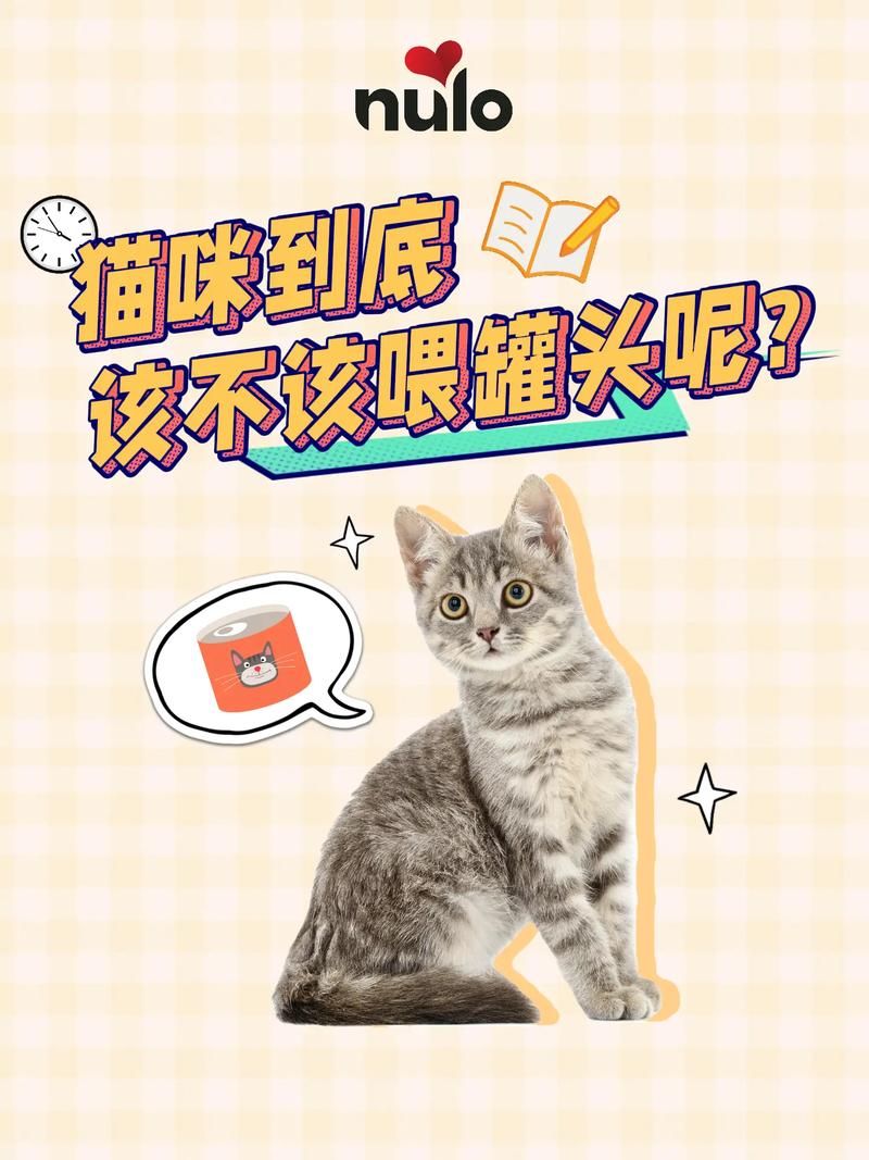 猫咪长期吃猫罐头好不好？