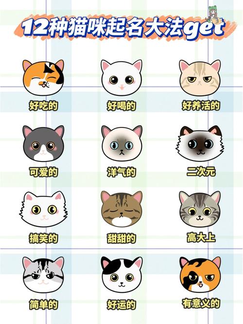 猫咪起名秘籍，从喵星到星梦，为你的小宝贝取一个独特好听的名字