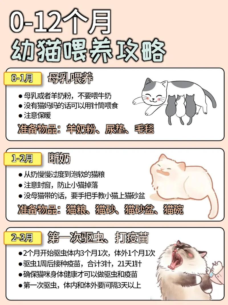 猫咪几月龄开始好养？