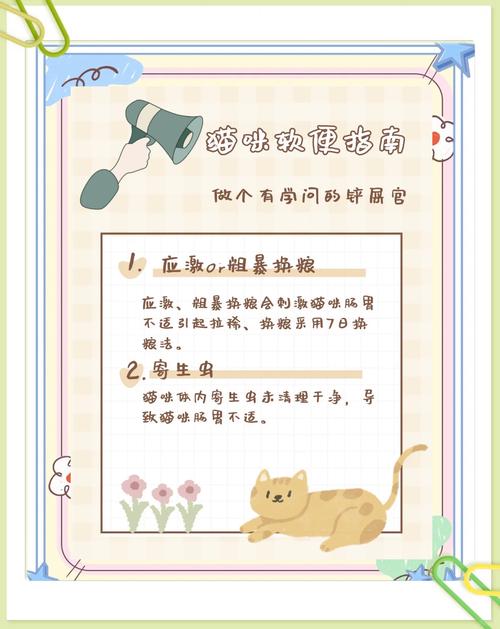 猫咪尿路感染，预防与应对指南