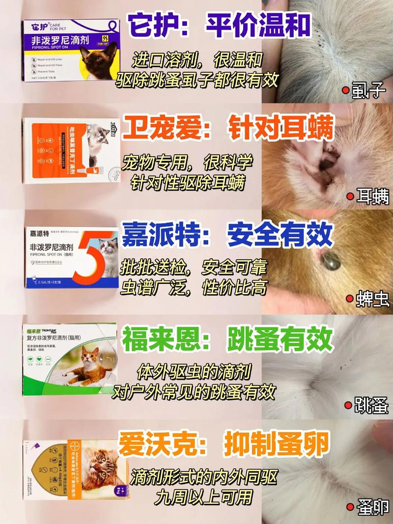 猫咪驱虫药需要服用多久？